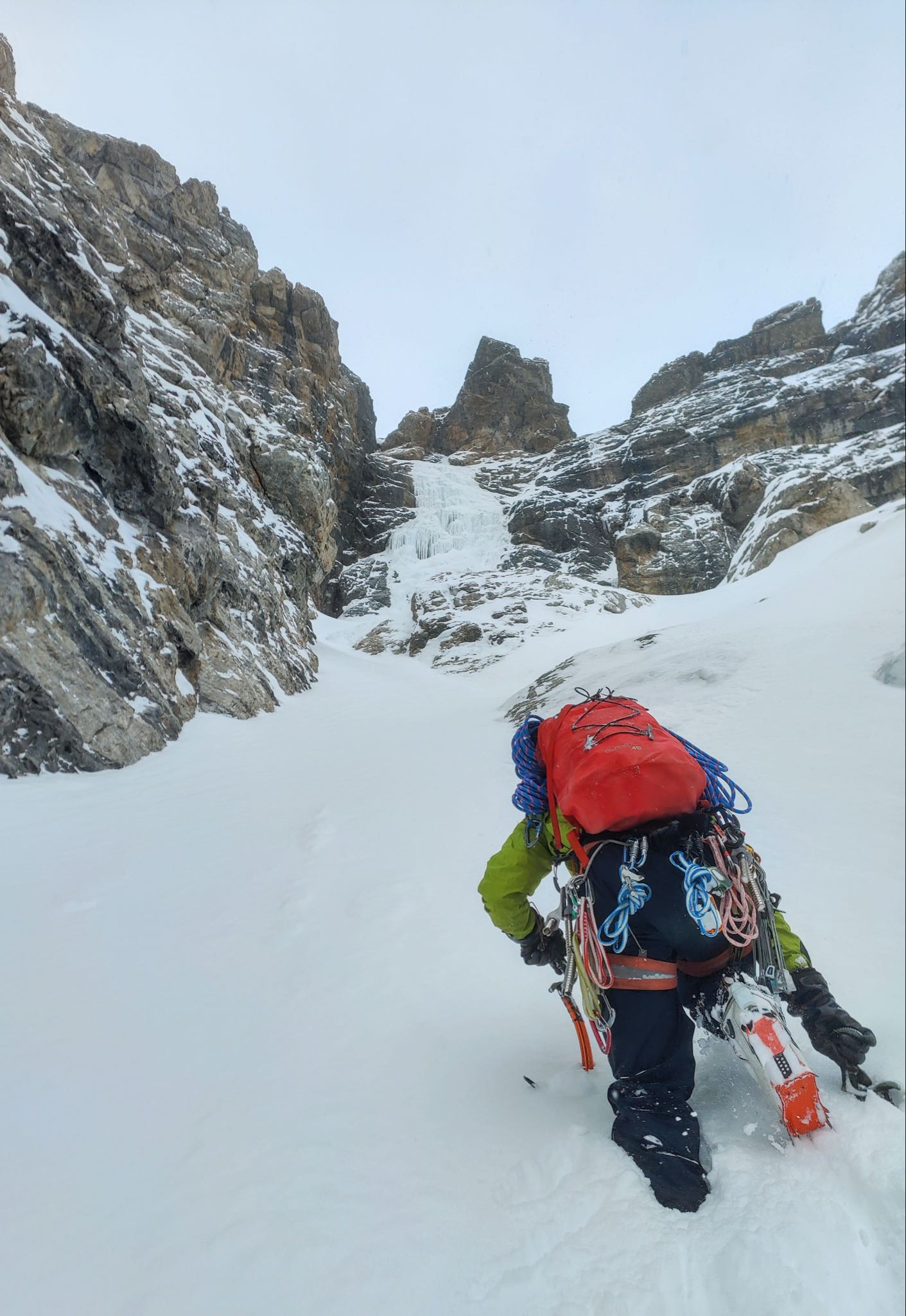 The Guardian of the Grand Fromage 